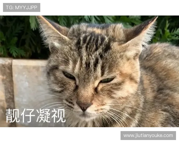 闄囧師绔炴妧钁d簨闀垮洖搴旀媴蹇э細缁濋潪鏄欒姳涓€鐜帮紝涓箼鍙戝睍濂戝悎闀胯繙瑙勫垝